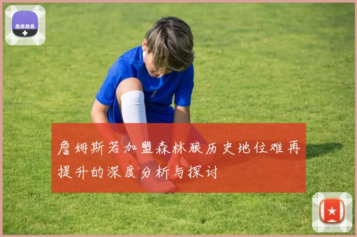 詹姆斯若加盟森林狼历史地位难再提升的深度分析与探讨